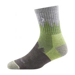 Darn Tough Clothing Treeline Micro Crew Midweight W/ Cushion | Women's