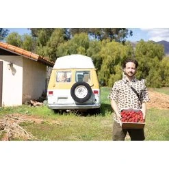 KAVU Chilli Lite Short | Men's