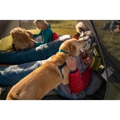 Kelty Grand Mesa 4 Tent 52 Kelty Grand Mesa 4 Tent