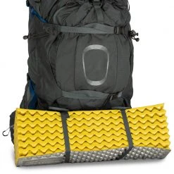 Osprey Aether Plus 85 Backpack | Men's
