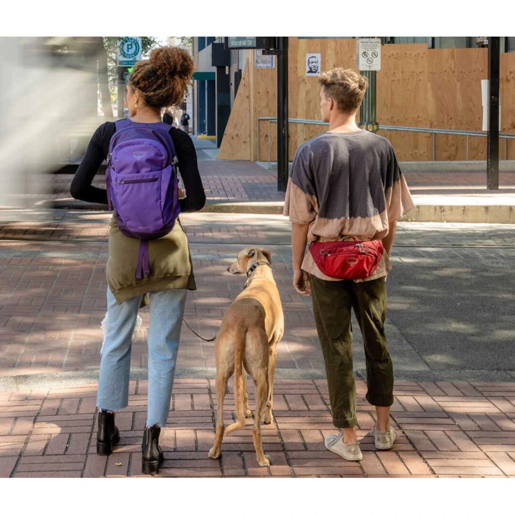 Osprey Bags & EDC Daylite Waist 8 Osprey Bags & EDC Daylite Waist