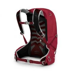 Osprey Bags & EDC Talon 22 Backpack | Men's