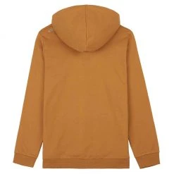 Picture Organic New Basement Hoodie | Men's