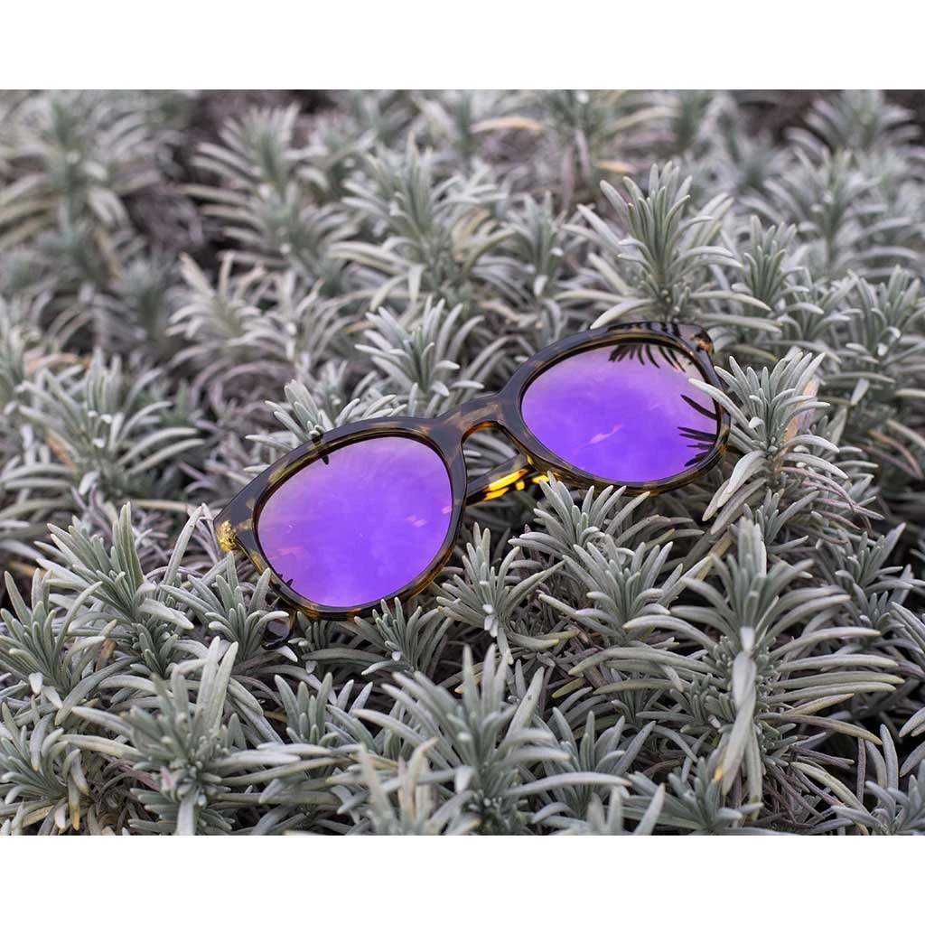 Sunski Makani Bags & EDC 14 Sunski Makani Bags & EDC