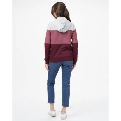 Tentree Clothing TreeFleece Blocked Banshee Hoodie | Women's
